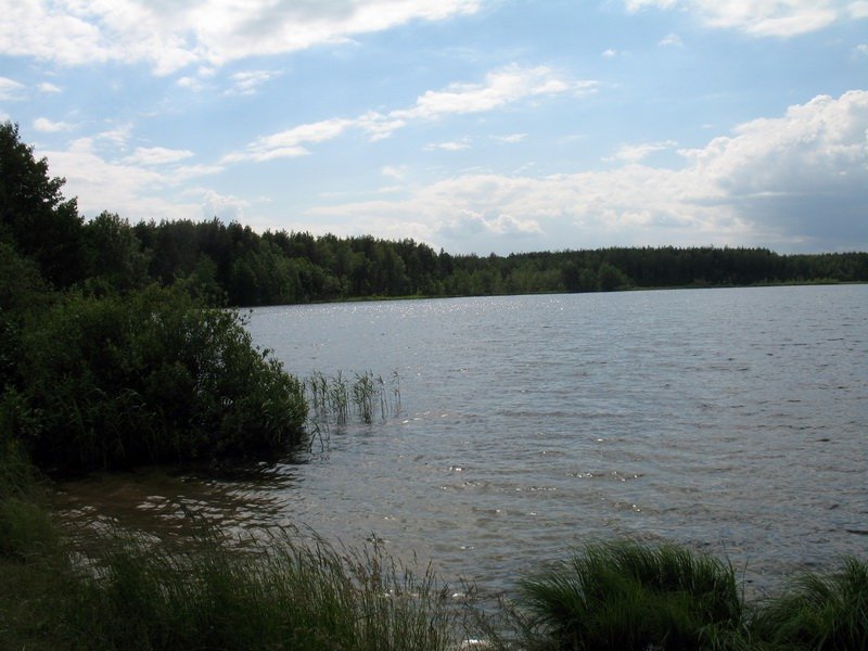 Озеро черное бордуковское фото